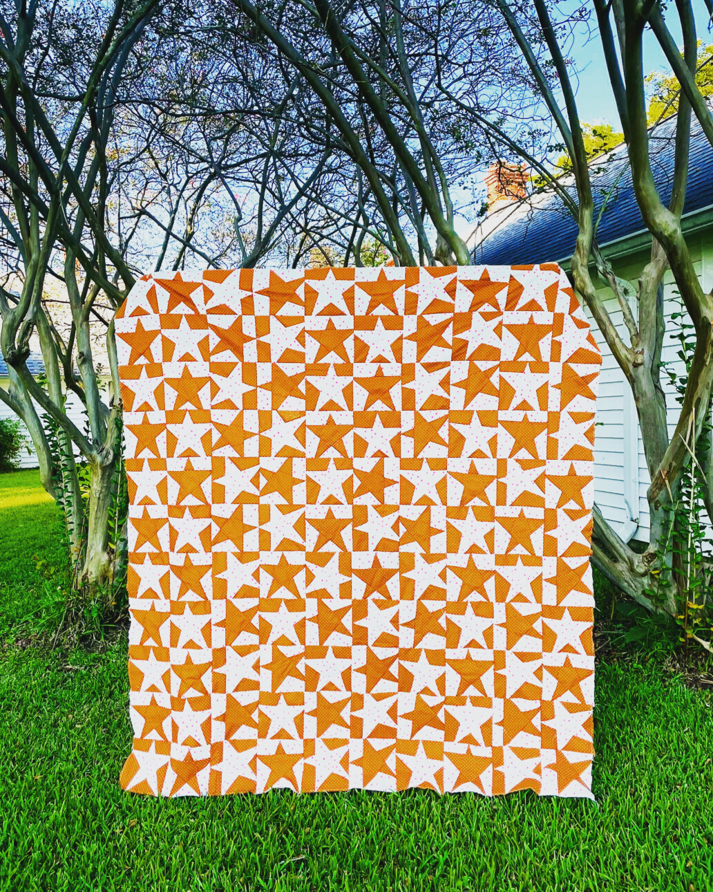 Wonky Wonder Quilt Pattern – Joy Martin